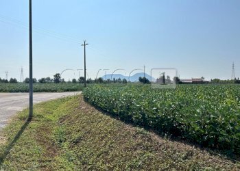 Esterno (15).JPG - Terreno agricolo Via Volpara, Castegnero - foto 12