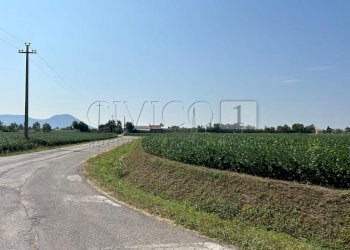 Esterno (19).JPG - Terreno agricolo Via Volpara, Castegnero - foto 15