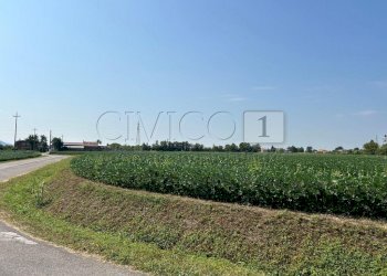 Esterno (21).JPG - Terreno agricolo Via Volpara, Castegnero - foto 17