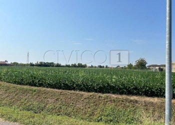 Esterno (22).JPG - Terreno agricolo Via Volpara, Castegnero - foto 18