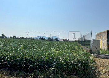 Esterno (23).JPG - Terreno agricolo Via Volpara, Castegnero - foto 19