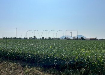 Esterno (24).JPG - Terreno agricolo Via Volpara, Castegnero - foto 20