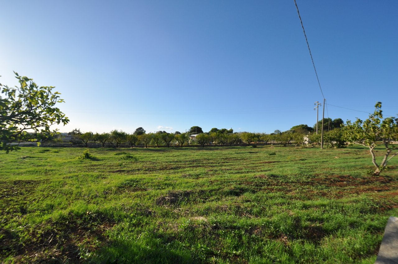 DSC_1672.JPG - Villa SP28 33, Ostuni - photo 3