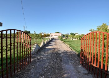 DSC_1670.JPG - Villa SP28 33, Ostuni - foto 2