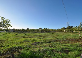 DSC_1672.JPG - Villa SP28 33, Ostuni - foto 3
