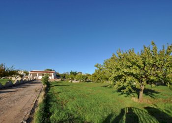 DSC_1674.JPG - Villa SP28 33, Ostuni - foto 4