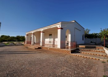 DSC_1685.JPG - Villa SP28 33, Ostuni - foto 8