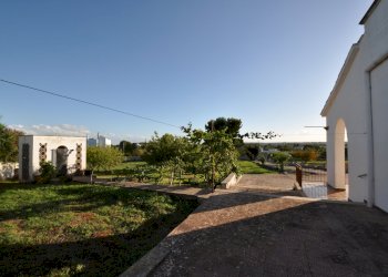 DSC_1693.JPG - Villa SP28 33, Ostuni - foto 12