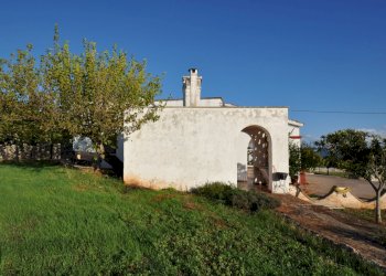 DSC_1703.JPG - Villa SP28 33, Ostuni - foto 17