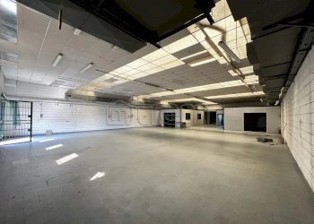 Capannone Paderno d'Adda - foto 21