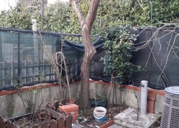 Appartamento Aulla - foto 17