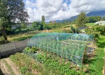 Villa Cumiana - foto 5