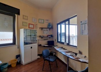 Palestra e Impianti Sportivi Falciano del Massico - foto 18