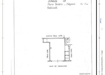 Shop viale dei promontori, Roma - photo 13