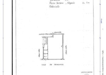 Shop viale dei promontori, Roma - photo 14