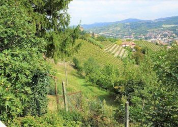 Vista - Rustico Regione Castellazzi, Canelli - foto 11