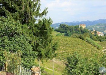 Vista - Rustico Regione Castellazzi, Canelli - foto 24