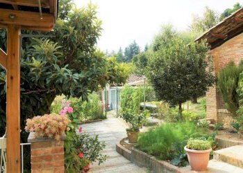 Giardino - Rustico Regione Castellazzi, Canelli - foto 25