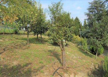 Terreno - Rustico Regione Castellazzi, Canelli - foto 29