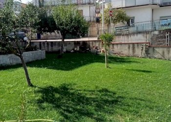 Giardino - Villa via Guglielmo Marconi, San Nazzaro - foto 12