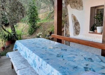 20240809_184929.jpg - Rustico Santo Stefano di Magra - foto 2