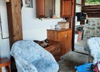 20240809_184935.jpg - Rustico Santo Stefano di Magra - foto 4