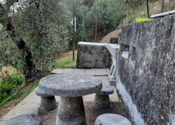 20240809_184816.jpg - Rustico Santo Stefano di Magra - foto 5