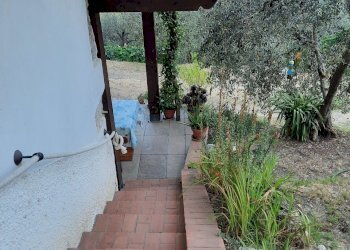 20240809_184849.jpg - Rustico Santo Stefano di Magra - foto 11