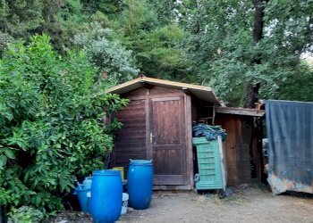 20240809_185249.jpg - Rustico Santo Stefano di Magra - foto 18