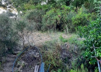 20240809_185252.jpg - Rustico Santo Stefano di Magra - foto 19