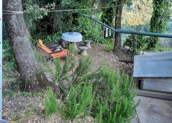 20240809_185435.jpg - Rustico Santo Stefano di Magra - foto 22