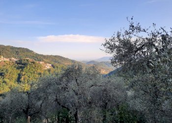 20240809_190018.jpg - Rustico Santo Stefano di Magra - foto 25