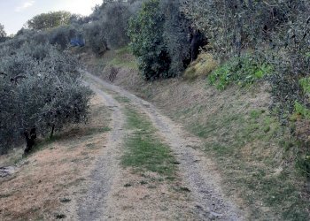 20240809_190030.jpg - Rustico Santo Stefano di Magra - foto 26