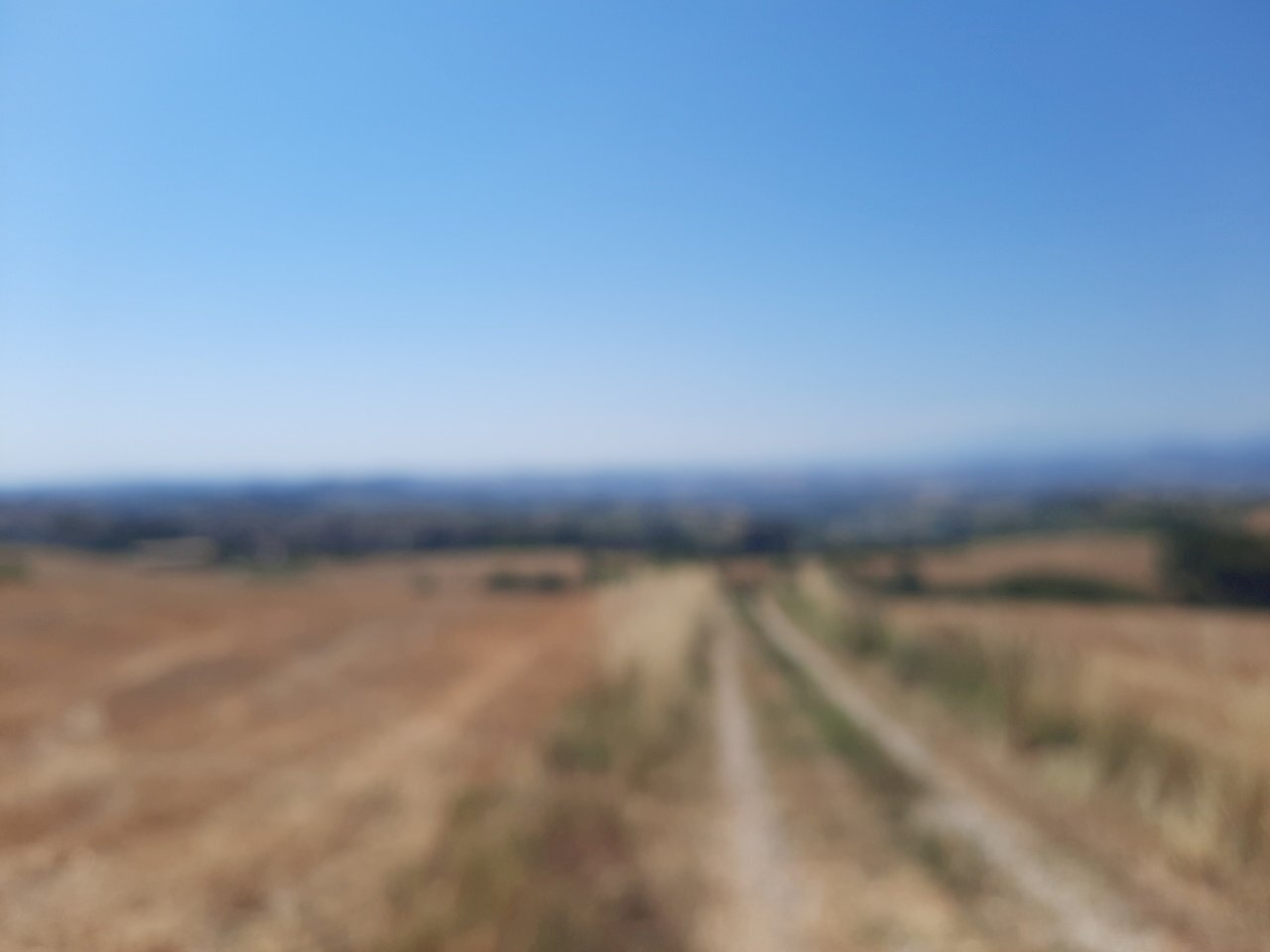 03 OFFIDA - TERRENO AGRICOLO CON ULIVETO E SEMINAT - Terreno agricolo Offida - foto 3