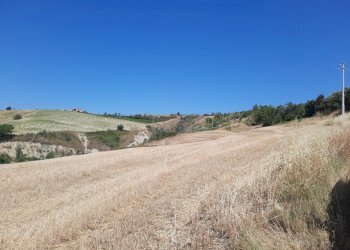 06 OFFIDA - TERRENO AGRICOLO CON ULIVETO E SEMINAT - Terreno agricolo Offida - foto 5