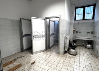 Capannone Via Meraviglia, Lainate - foto 13