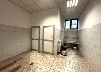 Capannone Via Meraviglia, Lainate - foto 14