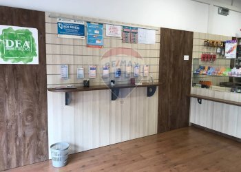 Attività Commerciale via celadina, Gorle - foto 3