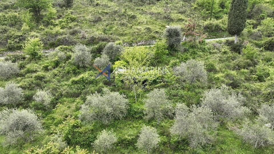 Terreno edificabile Sanremo - foto 3