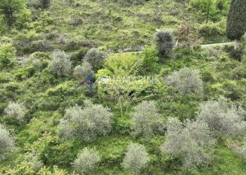 Terreno edificabile Sanremo - foto 3