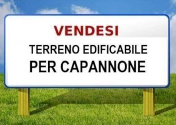 Altro - Terreno edificabile via 2 Giugno, Signa - foto 1