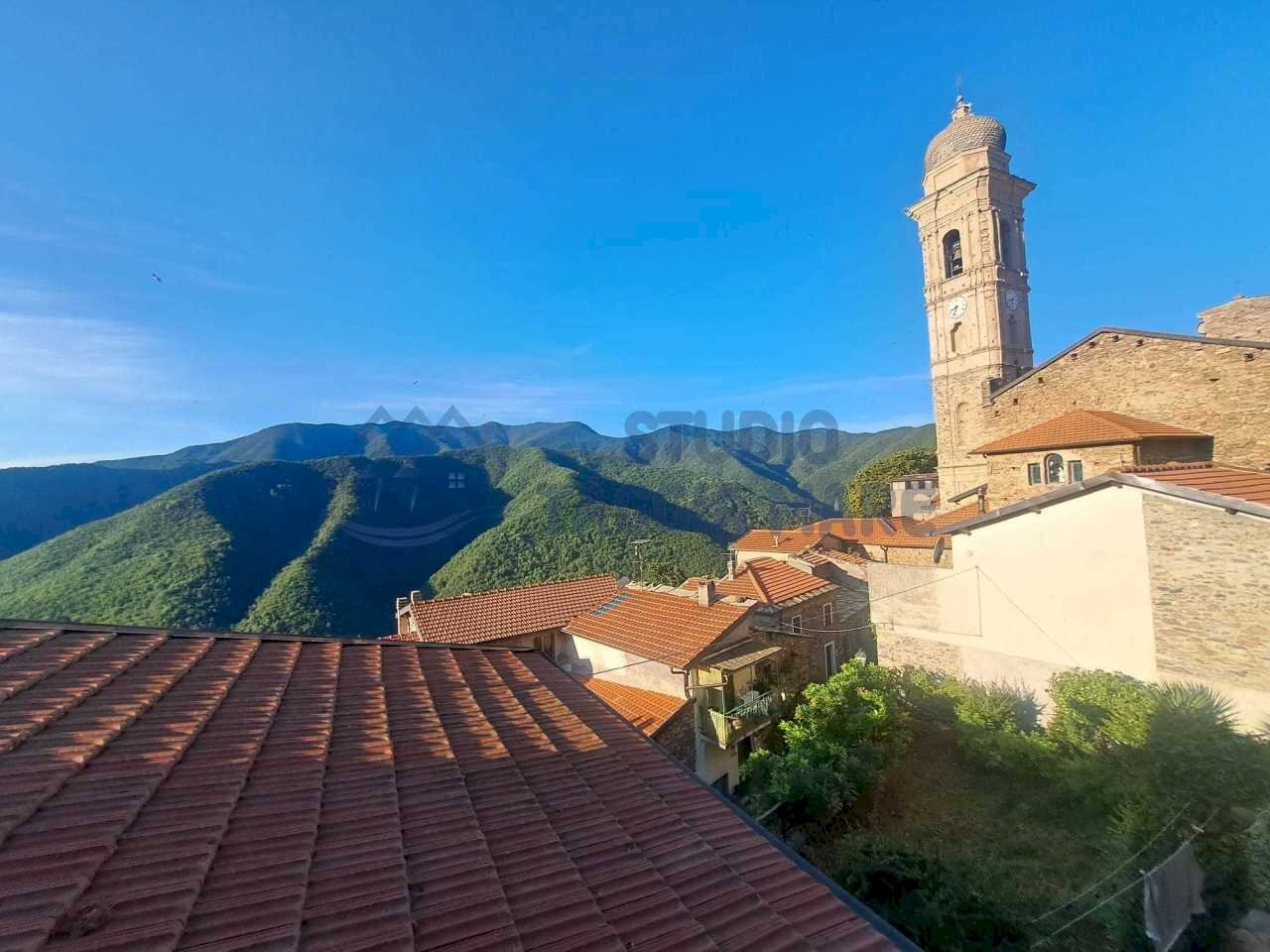 Immagine WhatsApp 2024-09-10 ore 10.12.28_9cb77110 - Appartamento Via Burche, Molini di Triora - foto 1