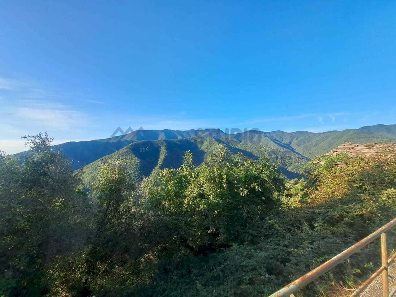 Immagine WhatsApp 2024-09-10 ore 10.12.22_891992a9 - Appartamento Via Burche, Molini di Triora - foto 3