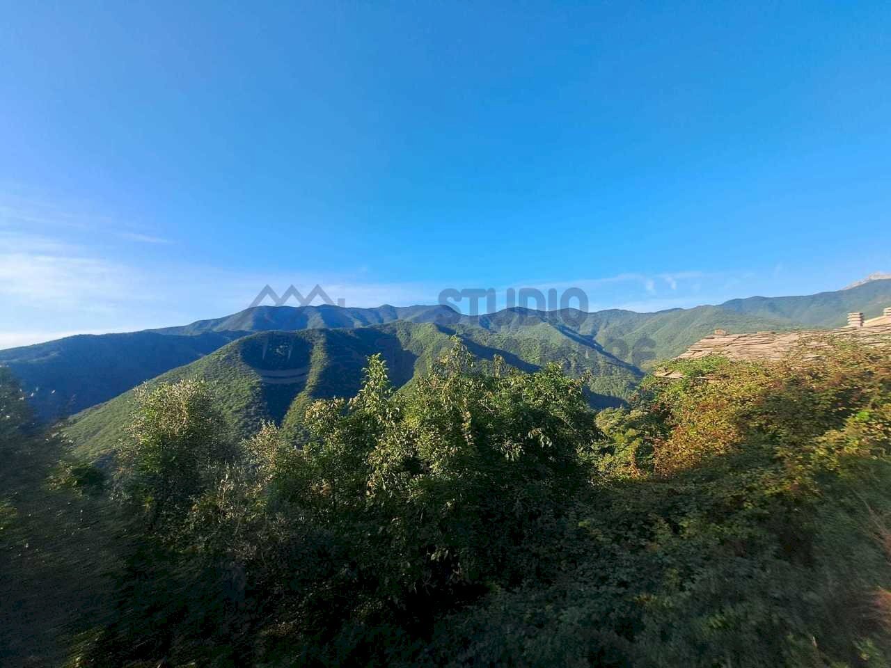 Immagine WhatsApp 2024-09-10 ore 10.12.22_afa78de1 - Rustico Via IV Novembre, Molini di Triora - foto 2