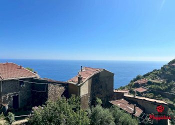 photo_2024-07-04_20-35-21 (2).jpg - Terratetto - Terracielo Località Fossola, La Spezia - foto 4