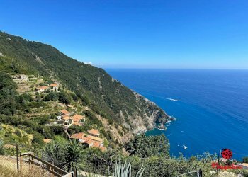 photo_2024-07-04_20-35-27.jpg - Terratetto - Terracielo Località Fossola, La Spezia - foto 5