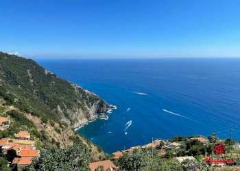 photo_2024-07-04_20-35-25.jpg - Terratetto - Terracielo Località Fossola, La Spezia - foto 6