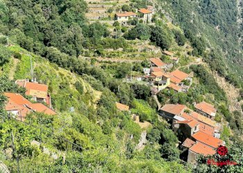photo_2024-07-04_20-35-26.jpg - Terratetto - Terracielo Località Fossola, La Spezia - foto 9