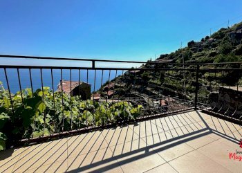 photo_2024-07-04_20-35-08.jpg - Terratetto - Terracielo Località Fossola, La Spezia - foto 28