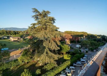 Trilocale Cisterna di Latina - foto 34